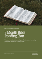 3 Month Bible Reading Plan